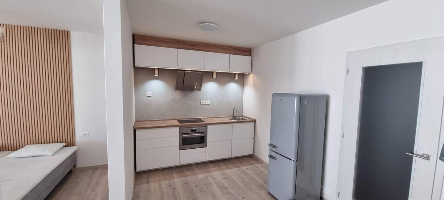 V Centru Ostravy Apartment Ostrava